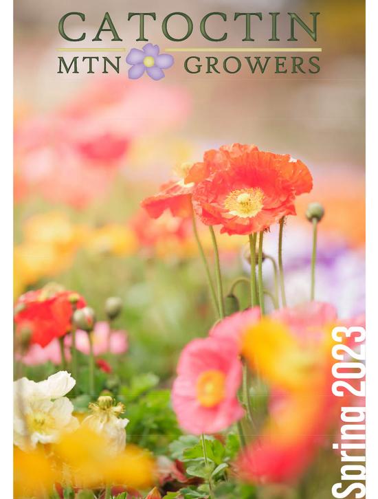 Spring 2023 Catalog