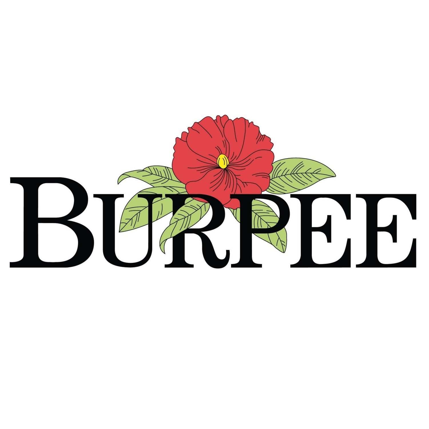 Burpee