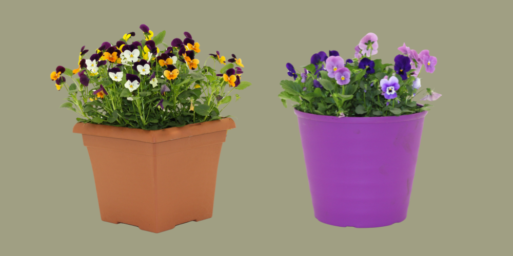 Decorative Pots
