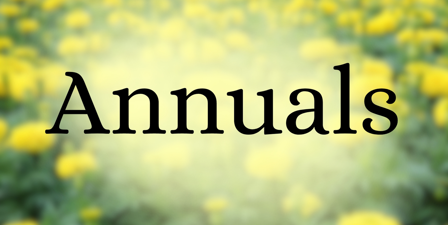 Annuals