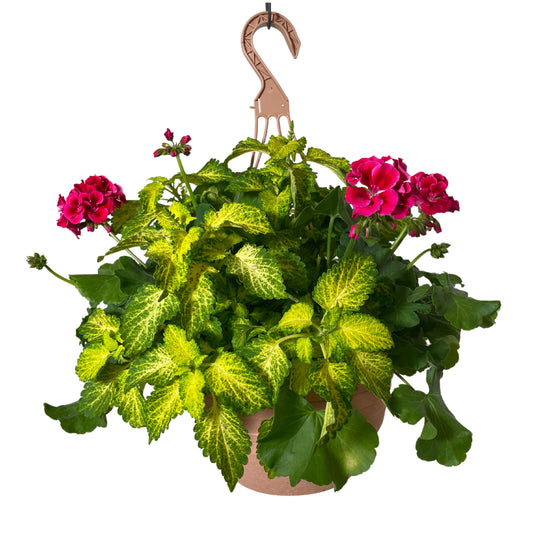 CMG Mix - Calliope Crimson Flame - 12" Premium HB