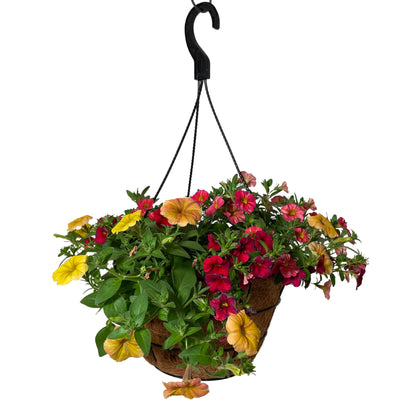 Joy HB - 12" Premium HB