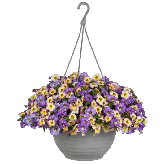 Pretty Pastels - 10"