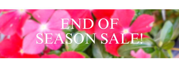 End of Season Sale