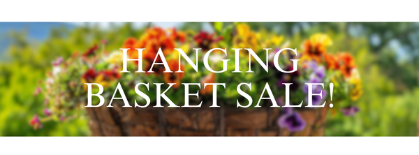 Hanging Basket Sale