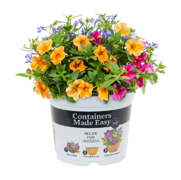 Water Wheel Combo - 8"