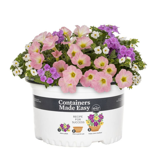 Verbena Combo - 10"