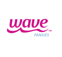 Wave Pansy
